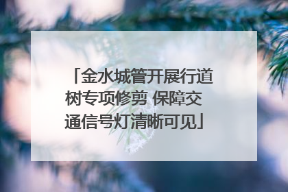 金水城管开展行道树专项修剪 保障交通信号灯清晰可见