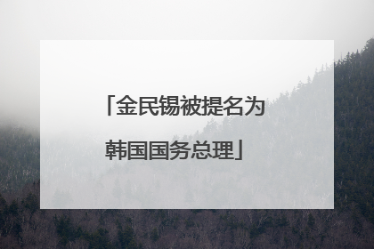 金民锡被提名为韩国国务总理
