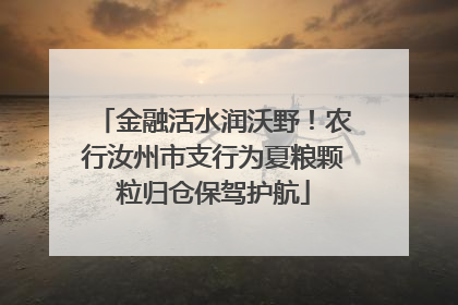 金融活水润沃野！农行汝州市支行为夏粮颗粒归仓保驾护航