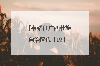 韦韬任广西壮族自治区代主席