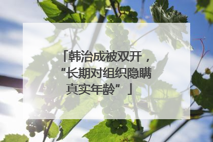 韩治成被双开，“长期对组织隐瞒真实年龄”