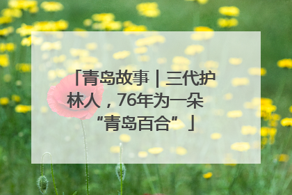 青岛故事｜三代护林人，76年为一朵“青岛百合”