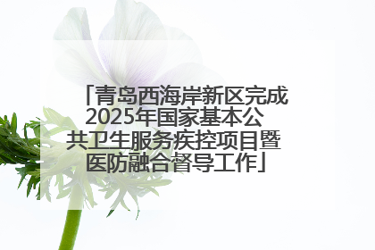 青岛西海岸新区完成2025年国家基本公共卫生服务疾控项目暨医防融合督导工作