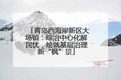 青岛西海岸新区大场镇：综治中心化解民忧，绘就基层治理新“枫”景