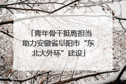 青年骨干挺膺担当 助力安徽省阜阳市“东北大外环”建设