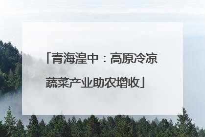 青海湟中：高原冷凉蔬菜产业助农增收