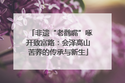非遗“老鹳嘴”啄开致富路：会泽高山苦荞的传承与新生