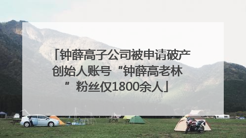 钟薛高子公司被申请破产 创始人账号“钟薛高老林”粉丝仅1800余人