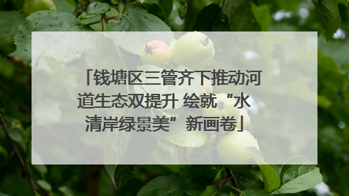 钱塘区三管齐下推动河道生态双提升 绘就“水清岸绿景美”新画卷