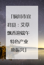 铜川市宜君县：艾草飘香迎端午 特色产业助振兴