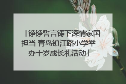 铮铮誓言铸下深情家国担当 青岛镇江路小学举办十岁成长礼活动