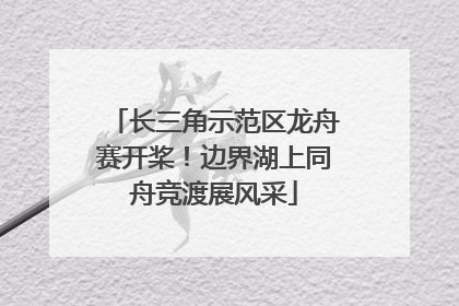 长三角示范区龙舟赛开桨！边界湖上同舟竞渡展风采