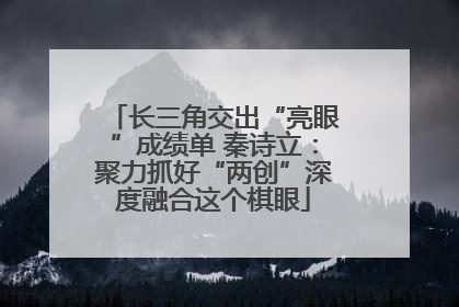 长三角交出“亮眼”成绩单 秦诗立：聚力抓好“两创”深度融合这个棋眼