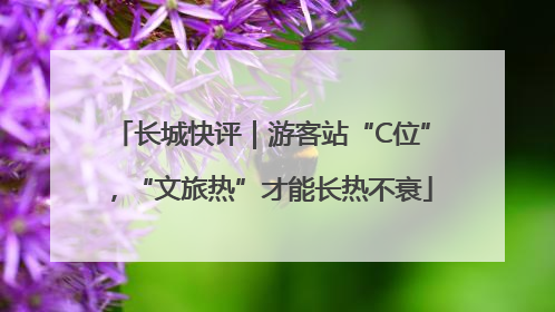 长城快评｜游客站“C位”，“文旅热”才能长热不衰