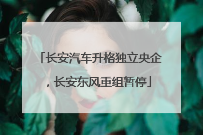 长安汽车升格独立央企，长安东风重组暂停