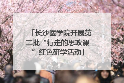 长沙医学院开展第二批“行走的思政课”红色研学活动