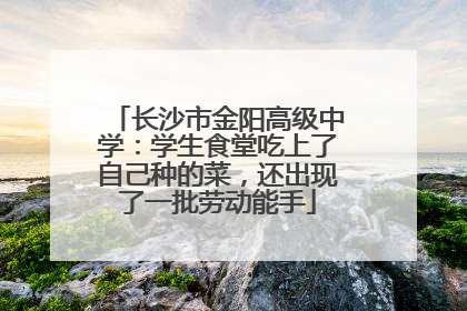 长沙市金阳高级中学：学生食堂吃上了自己种的菜，还出现了一批劳动能手