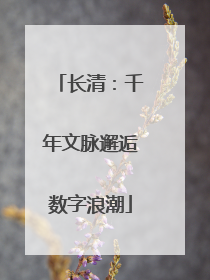 长清：千年文脉邂逅数字浪潮