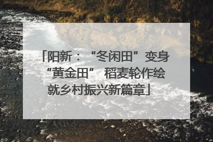 阳新：“冬闲田”变身“黄金田” 稻麦轮作绘就乡村振兴新篇章
