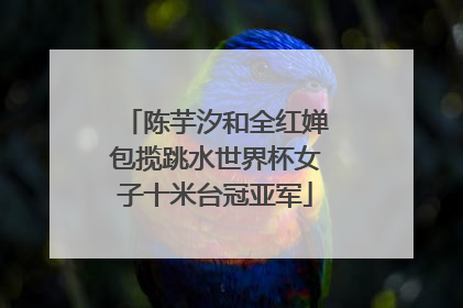 陈芋汐和全红婵包揽跳水世界杯女子十米台冠亚军