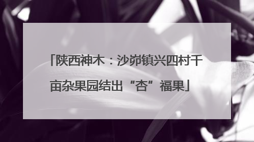 陕西神木：沙峁镇兴四村千亩杂果园结出“杏”福果