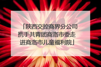 陕西交控商界分公司携手共青团商洛市委走进商洛市儿童福利院