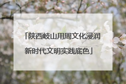 陕西岐山用周文化浸润新时代文明实践底色