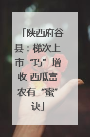 陕西府谷县：梯次上市“巧”增收 西瓜富农有“蜜”诀