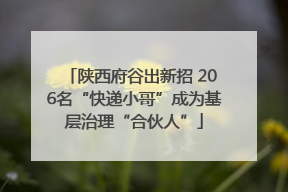 陕西府谷出新招 206名“快递小哥”成为基层治理“合伙人”