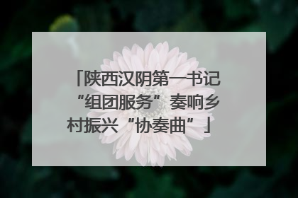 陕西汉阴第一书记“组团服务”奏响乡村振兴“协奏曲”