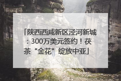 陕西西咸新区泾河新城：300万美元签约！茯茶“金花”绽放中亚