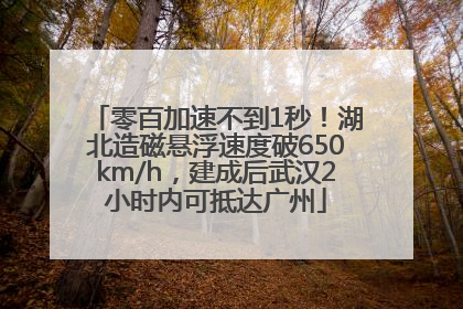零百加速不到1秒！湖北造磁悬浮速度破650km/h，建成后武汉2小时内可抵达广州