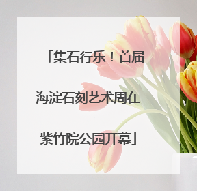 集石行乐！首届海淀石刻艺术周在紫竹院公园开幕