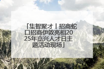 集智聚才丨招商蛇口招商伊敦亮相2025年嘉兴人才日主题活动现场