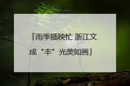 雨季插秧忙 浙江文成“丰”光美如画