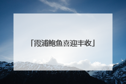 霞浦鲍鱼喜迎丰收
