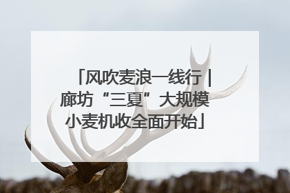 风吹麦浪一线行｜廊坊“三夏”大规模小麦机收全面开始