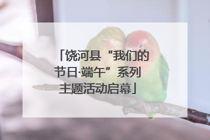 饶河县“我们的节日·端午”系列主题活动启幕