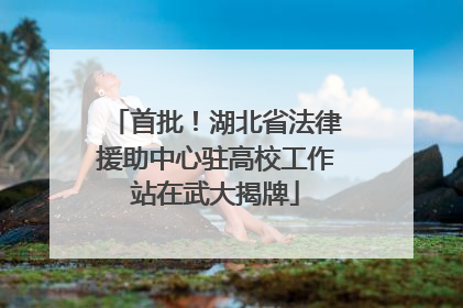 首批！湖北省法律援助中心驻高校工作站在武大揭牌