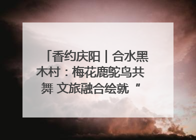 香约庆阳｜合水黑木村：梅花鹿鸵鸟共舞 文旅融合绘就“诗与远方”