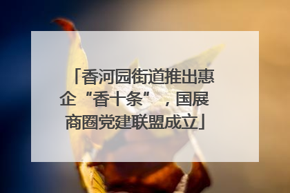 香河园街道推出惠企“香十条”，国展商圈党建联盟成立