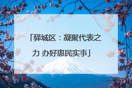 驿城区：凝聚代表之力 办好惠民实事