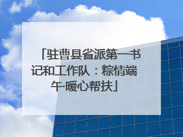 驻曹县省派第一书记和工作队：粽情端午·暖心帮扶