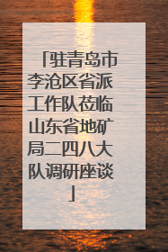 驻青岛市李沧区省派工作队莅临山东省地矿局二四八大队调研座谈