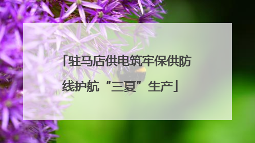 驻马店供电筑牢保供防线护航“三夏”生产