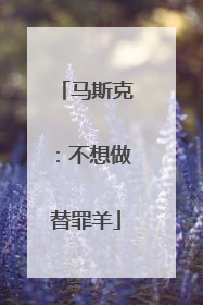 马斯克：不想做替罪羊