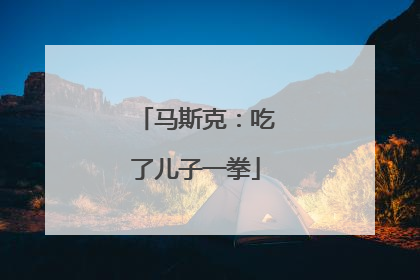 马斯克：吃了儿子一拳