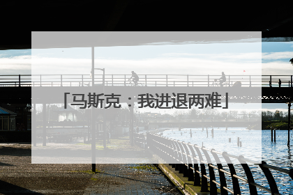 马斯克：我进退两难