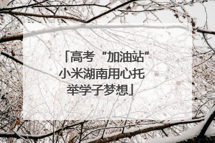 高考“加油站” 小米湖南用心托举学子梦想