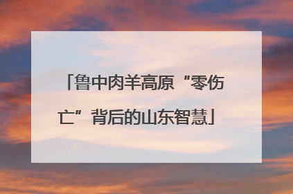 鲁中肉羊高原“零伤亡”背后的山东智慧